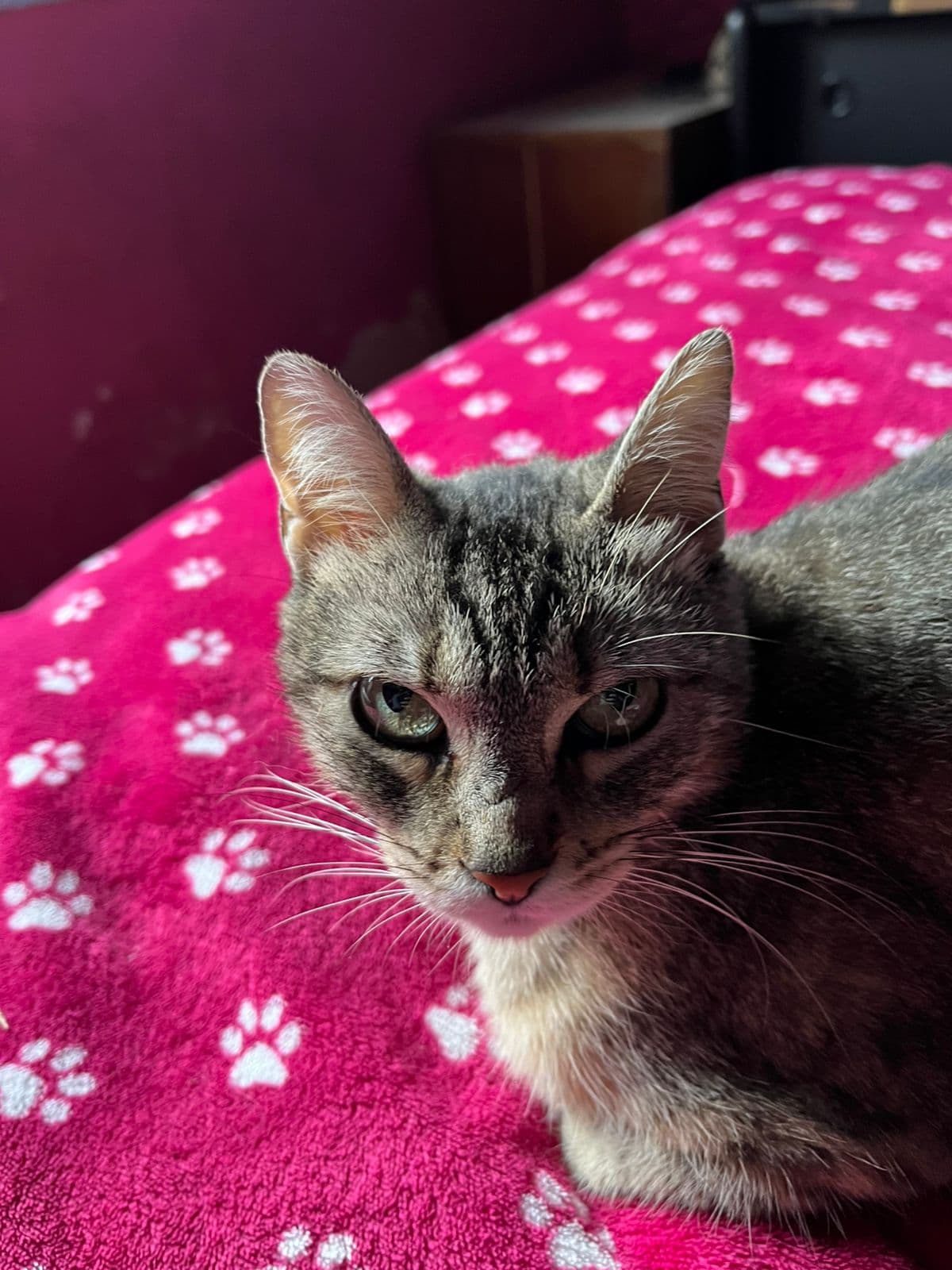 Carla